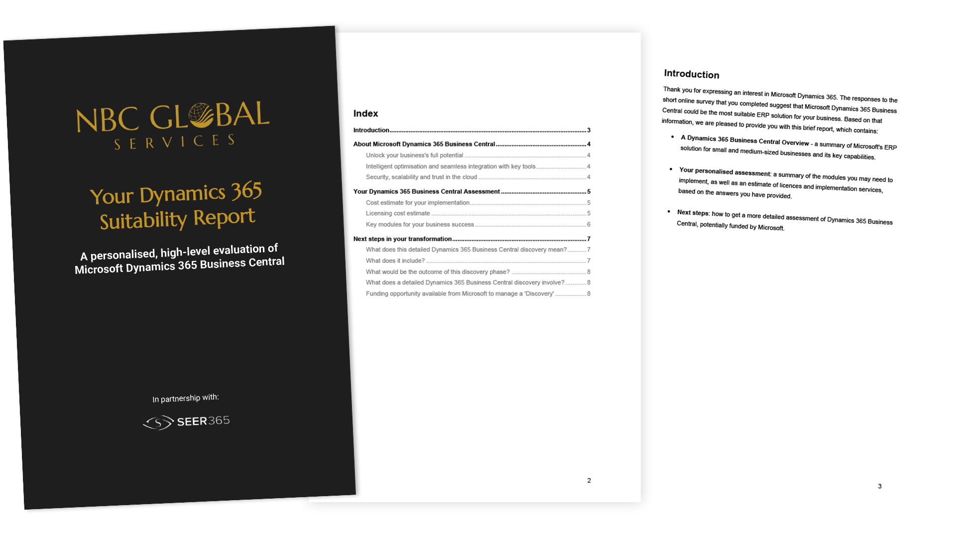 Seer365 Report-3 pages